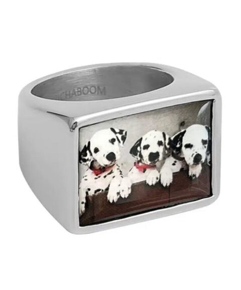 Кольцо Pop Pet Frame